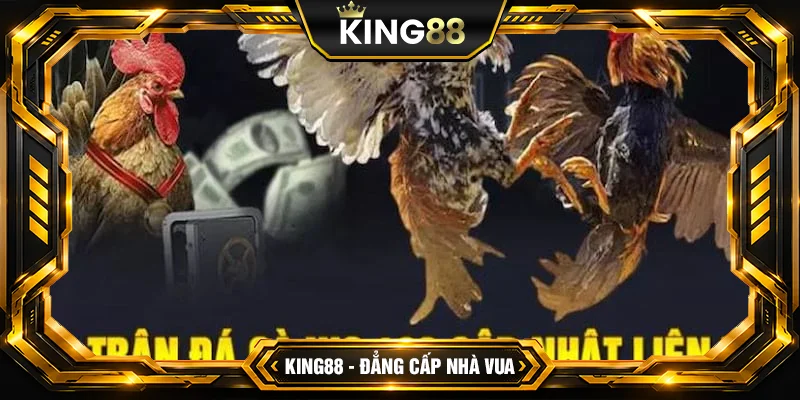Nội dung điều khoản trong giải trí Nội dung điều khoản trong giải trí