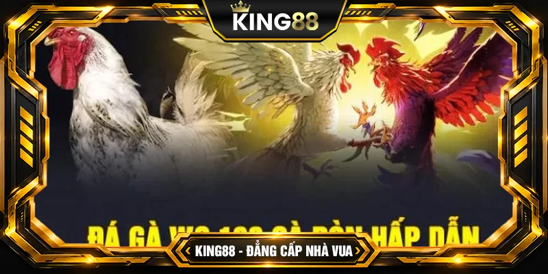 Đá Gà WS168 King88 – Đấu Trường Online Số 1